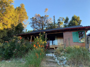 Pico Andino